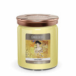 Candleberry Nouveau Lemonella Candle-Candles-CandleBerry Company-Candy Jar-kidtasticsgymnastics